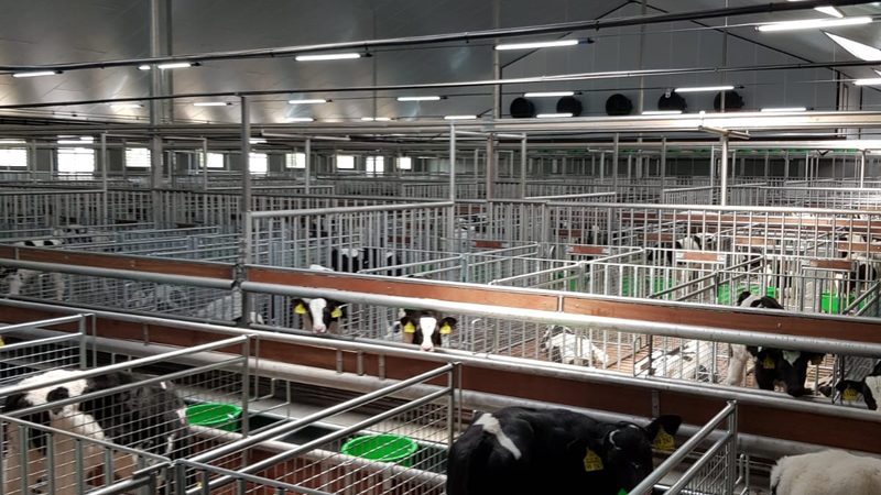独立站搭建与运营：揭秘常见错误与优化策略